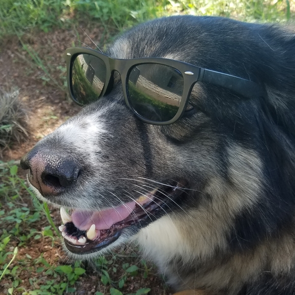 Meet the Posher, 𝕯𝖊𝖇𝖎𝖑𝖔𝖚 - Picture 3 of 16